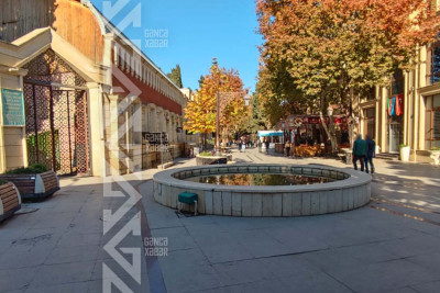 Gəncədə zibil qutuları problemi