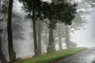 Duman olacaq, külək əsəcək - PROQNOZ