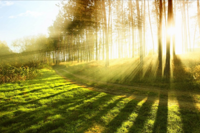 Sabah 28 dərəcə isti olacaq - PROQNOZ