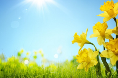 Sabah 29 dərəcə isti olacaq - PROQNOZ