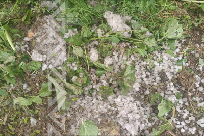 Güclü dolu fəsadlar törədib - FOTO