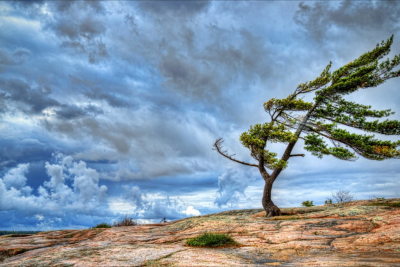Gəncədə küləyin sürəti 20 m/s-yə çatır