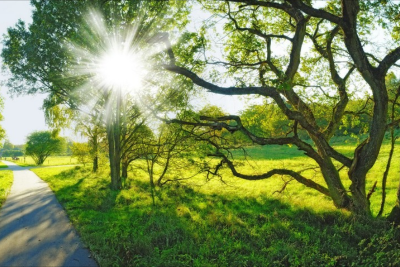 Bazar günü 30 dərəcə isti olacaq