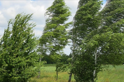 Sabah hava küləkli olacaq - XƏBƏRDARLIQ