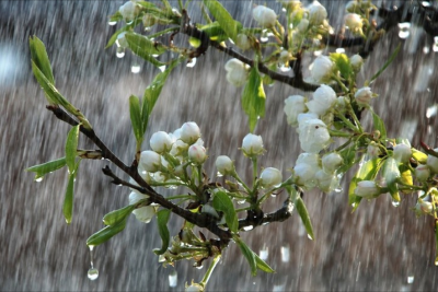 Gələn həftə bəzi yerlərdə yağış yağacaq, şimşək çaxacaq - XƏBƏRDARLIQ