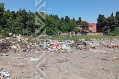 Gəncədə zibillik mənbəyinə çevrilən küçə - FOTO