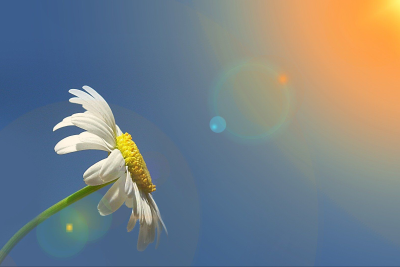 Sabah 32 dərəcə isti olacaq - PROQNOZ