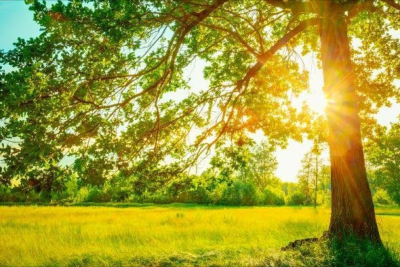 Sabah 33 dərəcə isti olacaq