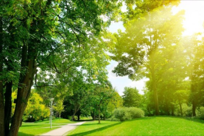 Sabah 33 dərəcə isti olacaq