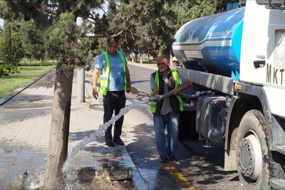 İstilərə qarşı yaşıl səfərbərlik- FOTO