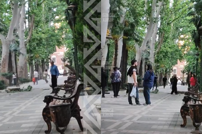 Xan Bağında yaşlı kişi ölümdən döndü - VİDEO