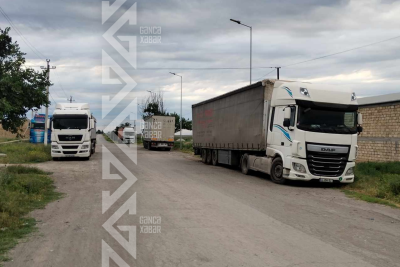 Gəncədə iylənmiş kartof qalmaqalı - VİDEO