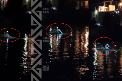 Samuxda balıqlara gecə hücumu - VİDEO