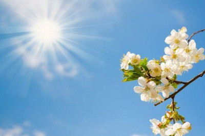 Havalar qızacaq - PROQNOZ