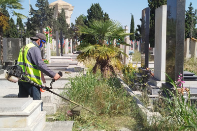 MKTİB Şəhidlər Xiyabanı Kompleksində təmizlik işləri görüb - FOTO