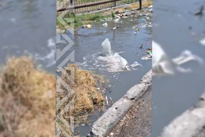 Gəncədə su borusu partlayıb, küçəni su basıb