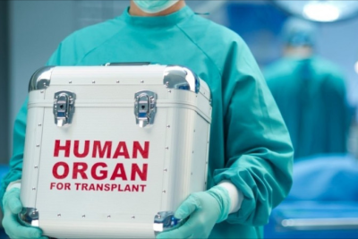 Cari ildə həyata keçirilən orqan transplantasiyası əməliyyatlarının nəticəsi açıqlanıb
