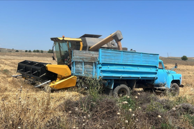 Bu rayonda taxıl biçini başa çatıb