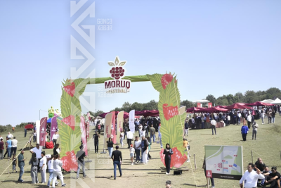 “II Moruq Festivalı” keçiriləcək