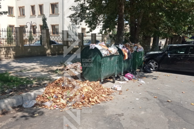 Gəncədə şəfa ocağının önündə xəstəlik mənbəyi