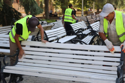 MKTİB tərəfindən skamyalar, güldanlar boyanıb - FOTO