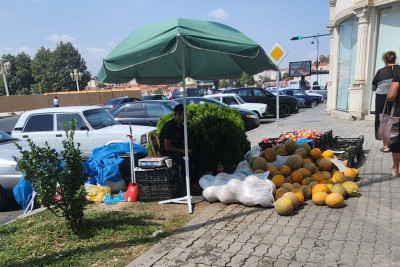 Gəncədə küçə ticarətinə qarşı reydlər keçirilib - FOTO