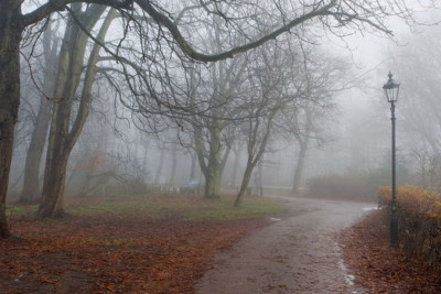 Sabah duman olacaq, yağış yağacaq - PROQNOZ