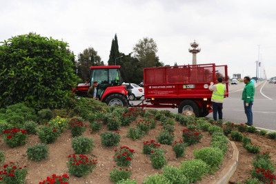 Gəncənin yaşıllıq zolağı payız-qış mövsümünə hazırlanır