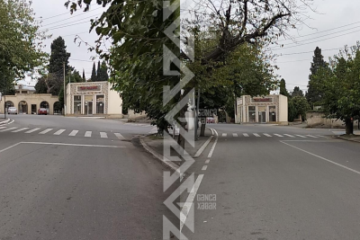 Gəncədə məktəb qarşısında işıqfor ağacların arasında itib