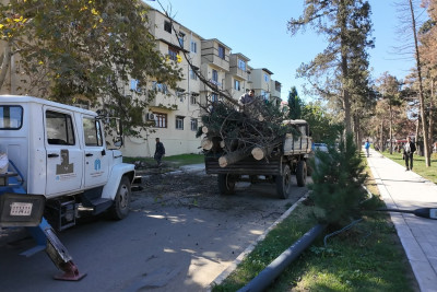 Gəncədə güclü külək bir sıra fəsadlar törədib