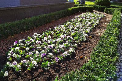 Gəncədə mövsümü yaşıllaşdırma işləri aparılır