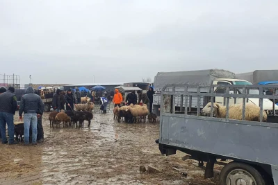 Bu gündən heyvan bazarları bağlanır