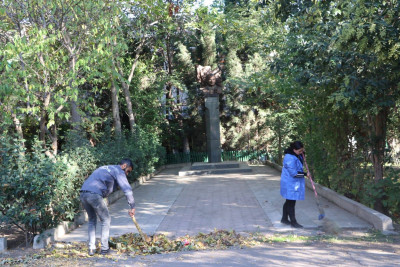 Gəncədə iməcilik keçirilib