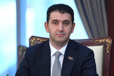 Gəncəli deputat: "Sahibsiz heyvanlar üçün sığınacaqlar tikilməlidir"