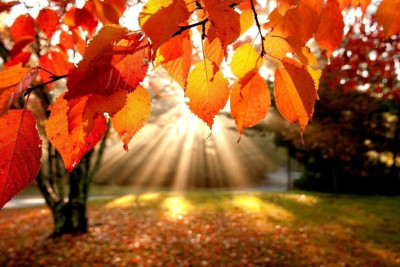 Sabah Gəncədə 24 dərəcə isti olacaq - PROQNOZ