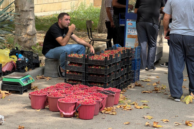 Gəncədə əməkhaqqı artıb