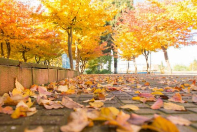 Sabah hava yağmursuz olacaq - PROQNOZ