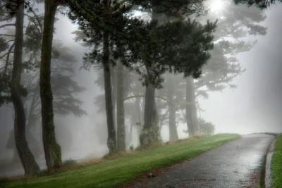 Sabah hava necə olacaq? - PROQNOZ