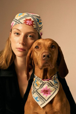 İtlər insanlarla qohumudur? - ARAŞDIRMA