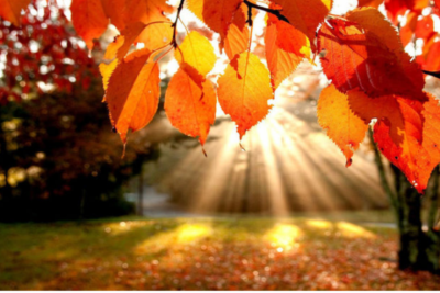 Sabah 16 dərəcə isti olacaq - PROQNOZ