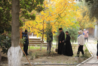 Gəncədə "Yaşıl gələcək naminə" aksiya