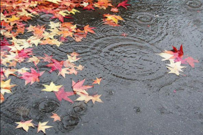 Həftə sonu Gəncədə hava necə olacaq? - PROQNOZ