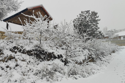 Qış fəslinin GƏNCƏYƏ daxil olma vaxtı açıqlanıb