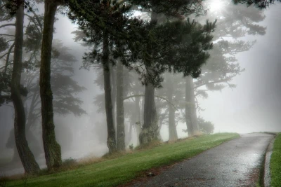 Sabah Gəncədə duman olacaq - PROQNOZ