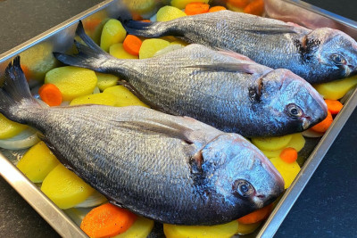 Balıq və dəniz məhsullarının idxalına 48 milyon dollar xərclənib