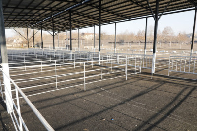 Göygöl heyvan bazarında yenidənqurma işləri yekun mərhələdədir