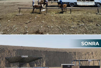 Göygöl heyvan bazarı fəaliyyətə başlayıb