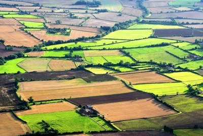 Gəncədə bəzi torpaq sahələrinin kateqoriyası dəyişdirilib