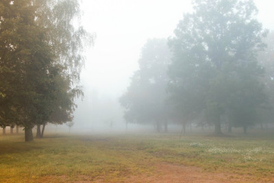 Bəzi rayonlara qar yağacaq, duman olacaq