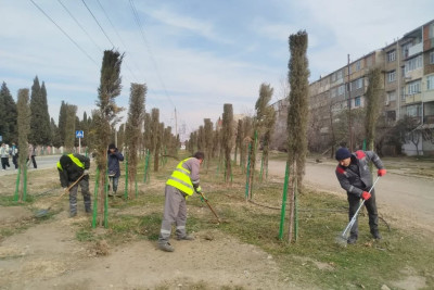 Gəncədə təmizlik aksiyası keçirilib
